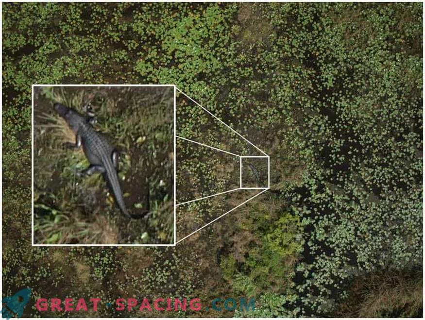 Comment les drones vont aider à percer le secret des crop circles