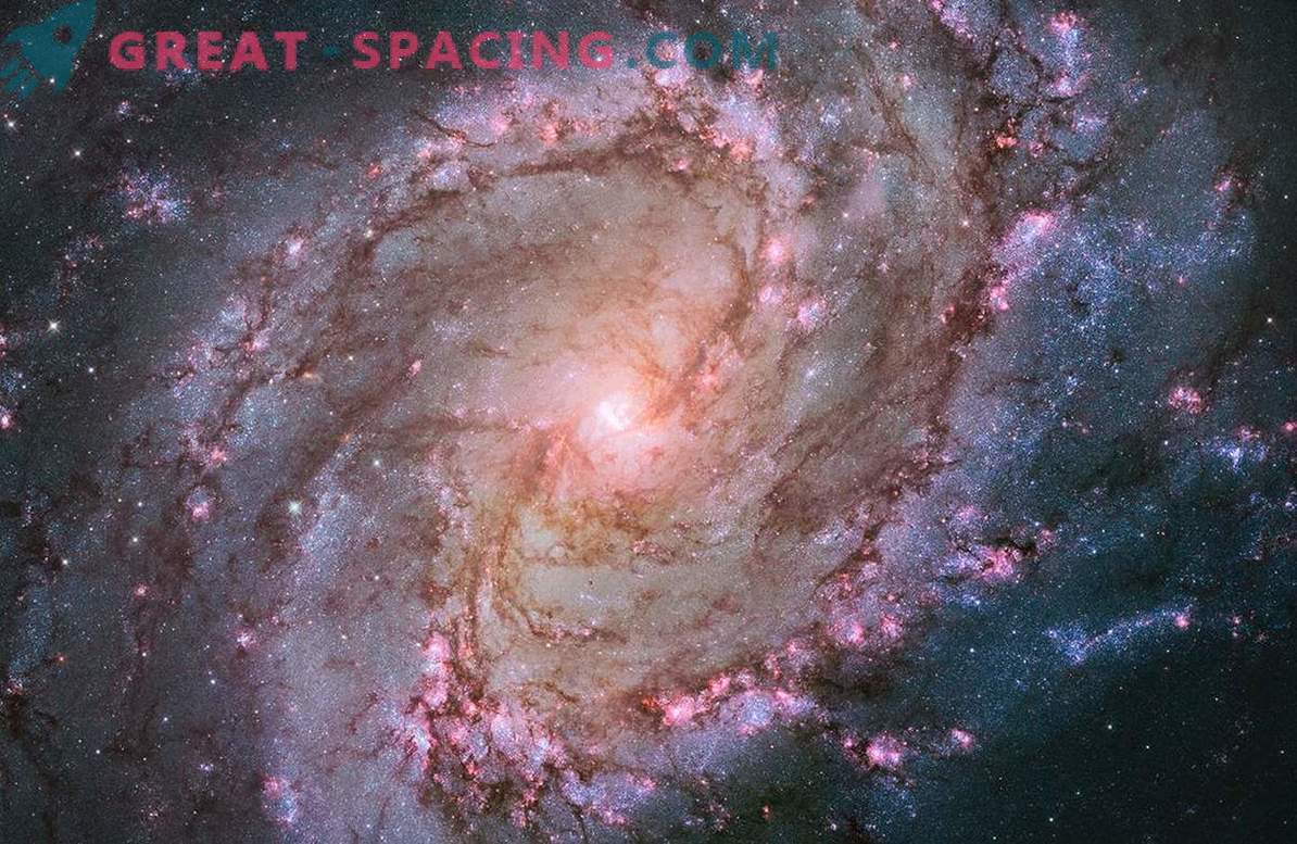 Le télescope Hubble a montré la vie des étoiles dans la galaxie South Spinner.