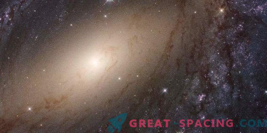 Les scientifiques ont publié une revue complète de la lumière UV des galaxies voisines