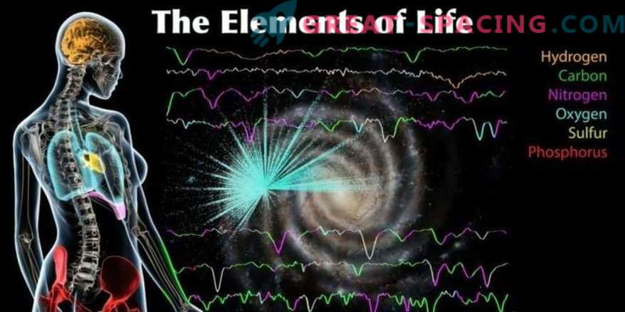 Une carte des éléments constitutifs de la vie de la Voie lactée a été créée