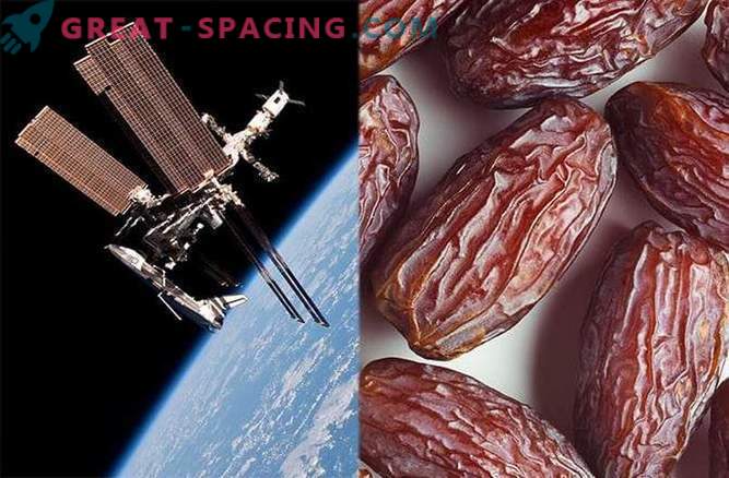 Pruneaux spatiaux pour la santé des os de l'astronaute