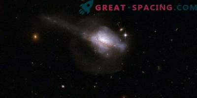Noyaux galactiques actifs et naissance d'étoiles