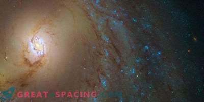 Amazing Galaxy Rings M 95