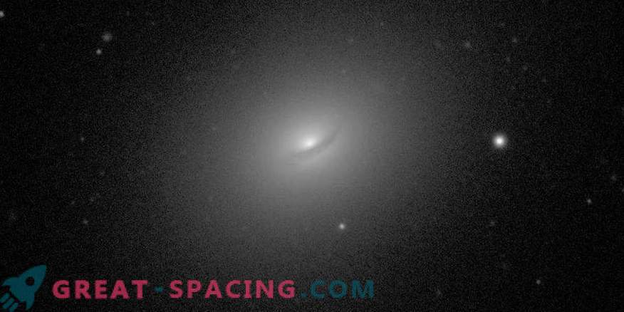 Vue d'ensemble du milieu interstellaire dans la galaxie NGC 3665