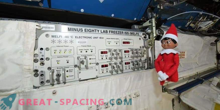 Elf sur la station spatiale internationale