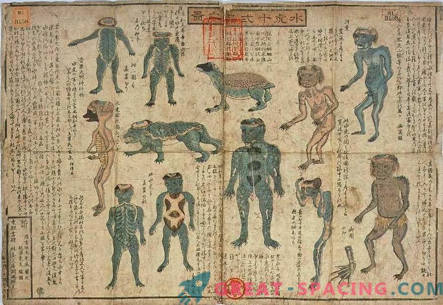 L’exposition du Musée japonais, vieille de 200 ans, ressemble à une créature mythologique Kapp. Version ufologov