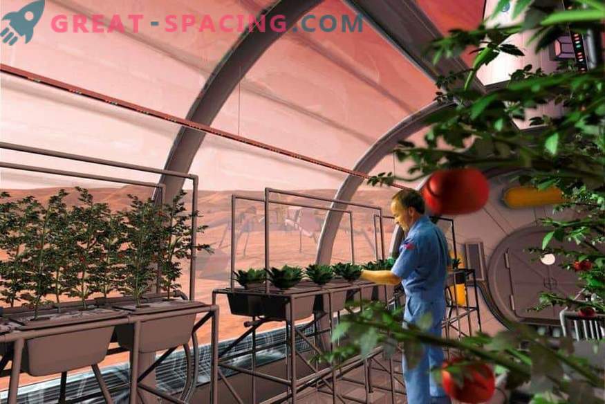 La NASA enverra-t-elle des plantes sur Mars?