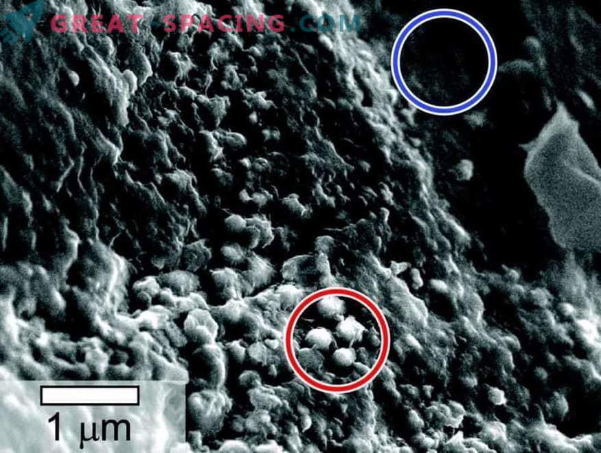 La vie est détectée dans des échantillons d'une météorite martienne